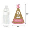 Big Dot of Happiness 2nd Birthday Girl - Two Much Fun - Cone Happy Second Birthday Party Hats for Kids and Adults - Set of 8 (Standard Size) - 3 of 4