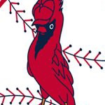 st louis cardinals 1966-1997