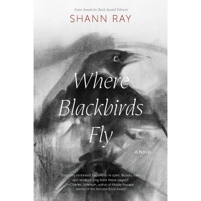 Where Blackbirds Fly - by  Shann Ray (Paperback)