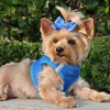 CHOKE FREE REFLECTIVE STEP IN ULTRA HARNESS - BLUE - ALL SIZES - AMERICAN RIVER (XL) by Doggie Design - 3 of 4