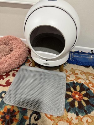 Guest review image 1 of 1, zoom in