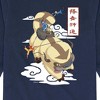 Boys' - Avatar: The Last Airbender - Appa Flying Long Sleeve Graphic T-Shirt - 2 of 4