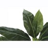 Vynxaria Artificial Plant, 42" Tall, Evergreen Tree, Indoor, Faux, Fake, Floor, Greenery, Potted, Decorative, Green Leaves, Black Pot - 3 of 4