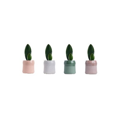 Live Mini Whale Tale Sansevieria Houseplant - Good Little Garden