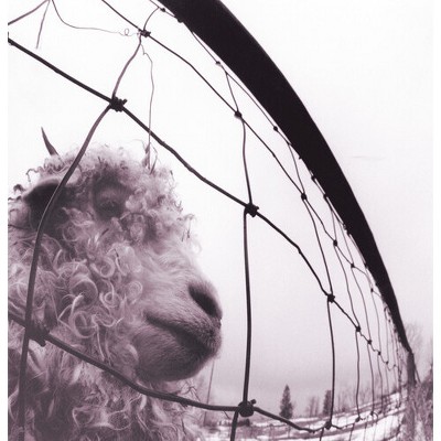 Pearl Jam - PEARL JAM / VS (180 Gram Vinyl)