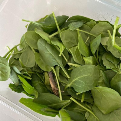 Baby Spinach - 10oz - Good & Gather™ : Target