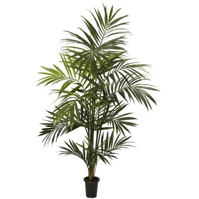 Tall Green Kentia Palm Silk Tree in Black Pot