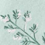snowy botanical