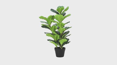 32-Inch Tall Artificial Fiddle Tree with Black Pot