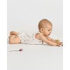 MiniMoi 3 Pair Baby Girls Combed Cotton Ditsy Floral Bodysuits - 2 of 4