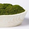 5" x 7" Artificial Moss Wood Plant Arrangement - Threshold™ designed with Studio McGee - image 3 of 4