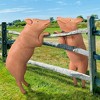 Design Toscano Hop Over Hog, Giant Pig Sculpture - 2 of 4