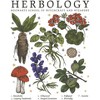 Men's Harry Potter Hogwarts Herbology T-Shirt - 2 of 4