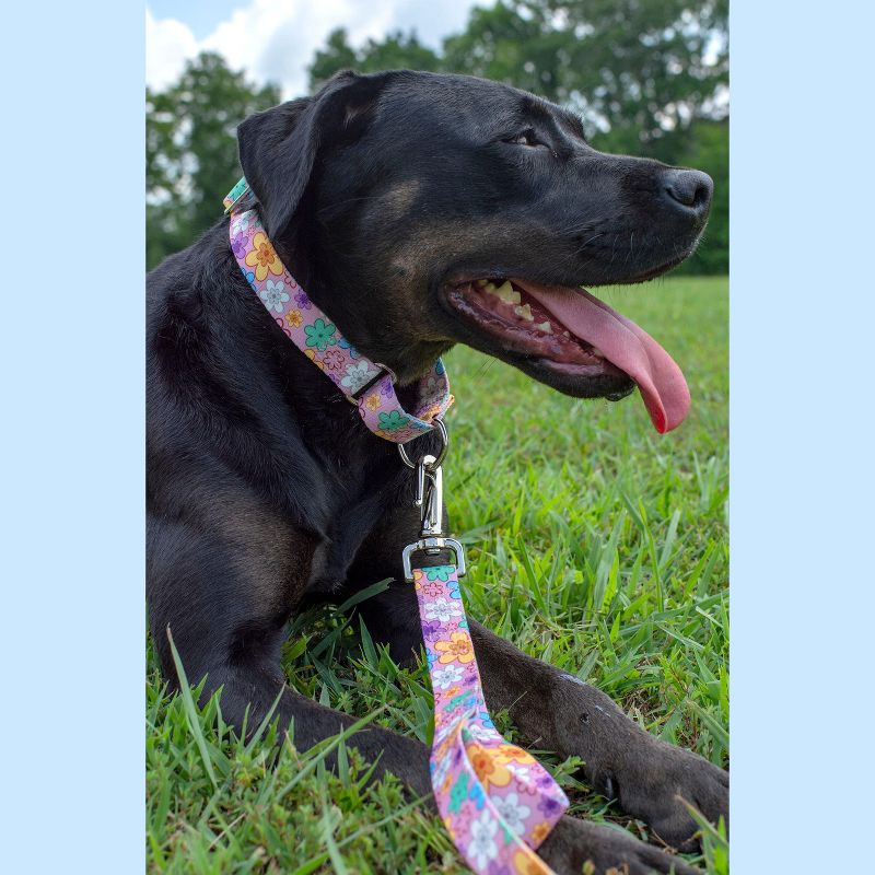 Country Brook Petz May Flowers Martingale Dog Collar, 3 of 9