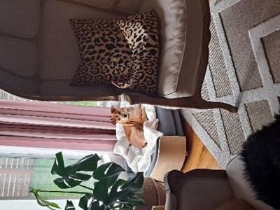 Guest review image 1 of 3, zoom in