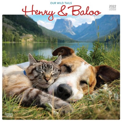 2022 Square Calendar Henry & Baloo Wild Tails - BrownTrout Publishers Inc