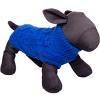 The Worthy Dog Chunky Knit Turtleneck Pullover Sweater - 3 of 3