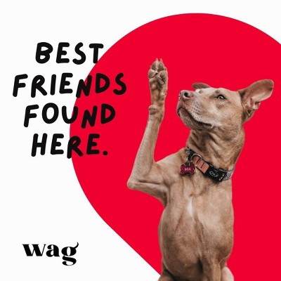 Wag Cabernet Sauvignon Wine - 750ml Bottle