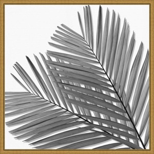 16" x 16" Palm I by Mia Jensen Framed Wall Canvas Black/White - Amanti Art - 1 of 4