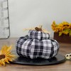 Northlight 6.5" Black and White Plaid Stacked Fall Harvest Tabletop Pumpkin - 2 of 3
