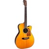 Blueridge BR-163CE Historic Series Cutaway 000 Acoustic-Electric Guitar Aging Toner - 3 of 4