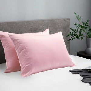 APSMILE Hair and Skin Friendly 100% Mulberry Silk Pillowcases Set of 2 - 1 of 4