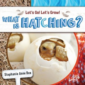 Rourke Educational Media What Is Hatching? Reader, Grade K-2, Paperback (Pack of 3) - 1 of 1