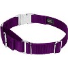 Country Brook Petz Heavyduty Nylon Martingale with Premium Buckle - 2 of 4