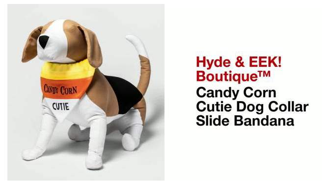 Halloween Candy Corn Cutie Dog Collar Slide Bandana - Hyde &#38; EEK! Boutique&#8482;, 2 of 11, play video