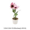Unique Bargains Artificial Plants Double Pinecone Chrysanthemum Tabletop Arrangement Plastic 3.54"x3.54"x10.63" 1 Pcs - 3 of 4
