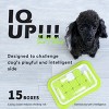 Interactives - Dog Puzzle Toys - Mentally Stimulating Treat Dispenser for Training Starter Small - 2 of 4