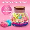 Joyfy DIY Unicorn/Dinosaur Crystal Terrarium Kit - Grow Your Own Crystals with 12-Color LED Night Light, STEM Science Gift for Kids Age 8+ - 3 of 4