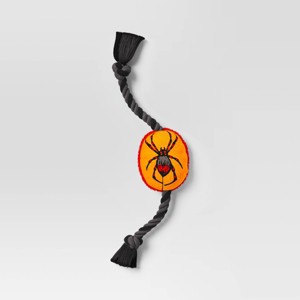 Halloween 15.5" Spider Plush with Rope Dog Toy - Hyde and EEK! Boutique™ - 1 of 3