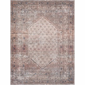 Hauteloom Tan Ormstown Distressed Washable Area Rug - 1 of 4