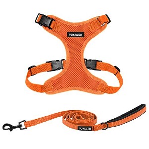 Voyager Step-In Lock Adjustable Dog & Cat Harness and 5ft Leash Combo - 1 of 4