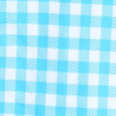bright aqua gingham