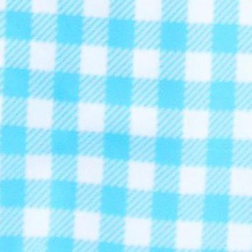 bright aqua gingham