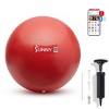 Sunny Health & Fitness - Premium Exercise Ball for Yoga/Pilates - 2 of 4