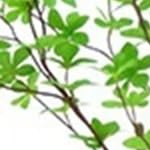 150cm fake tree