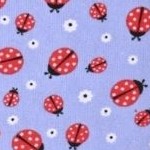ladybug dreams