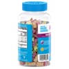 Digestive Advantage Probiotic Gummies - Fruit Flavors - image 2 of 4