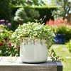 Decorative Flower Pot for Home Decor - Ceramic Indoor or Outdoor Planter with Sculpted Floral Rim - Perfect for Garden, Patio, or Room Decor - 3 of 4