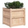 vidaXL Garden Planters - Decorative Outdoor Herb Plant Pots 2 Pcs - Solid Pine Wood - 19.7" Square Planters for Gardens, Balconies or Patios - 4 of 4