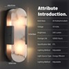 Dimmable LED solid brass Wall Mounted Sconce with Alabaster Shade (Set of 2) - 3 of 4