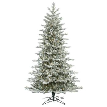 Vickerman Frosted Eastern Frasier Fir Artificial Christmas Tree