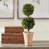 Plum & Post Boxwood Double Faux (Fake) Sphere Topiary 20" - 4 of 4