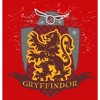 Boy's Harry Potter Gryffindor Quidditch Coat of Arms T-Shirt - 2 of 4