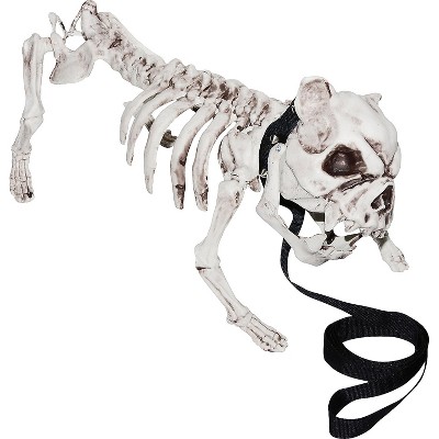 Halloween Express 17 in Decoration Object