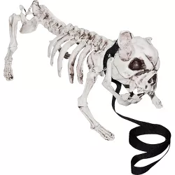 Halloween Express  17 in Skeleton Dog Decoration