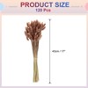 Unique Bargains Decorative Natural Dried Floral Bunny Tail Artificial Plants 120 Pcs - 2 of 4